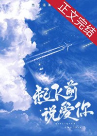 起飞前说爱你